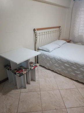 Assel Loft Botanico